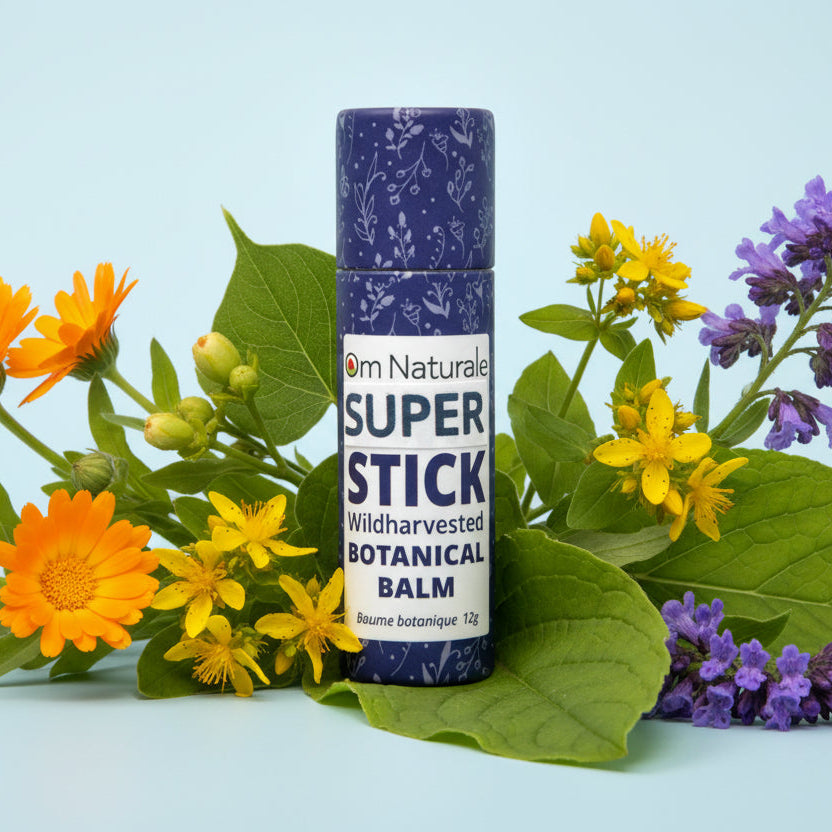 Close-up of Super Stick botanical balm – compostable push tube revealing infused salve with calendula poplar St. John's Wort comfrey plantain violet, natural and unscented from Om Naturale farm.