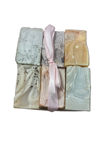Soap 6 Pack with Recycled Wood Soap Dish